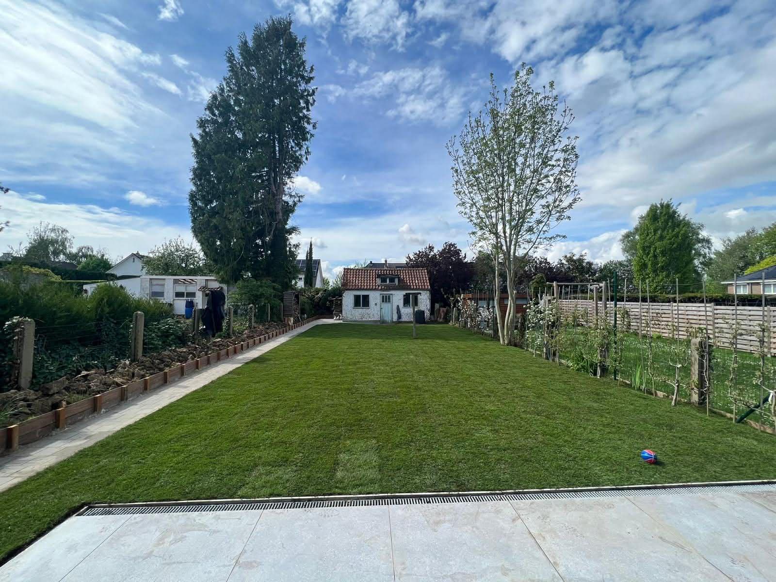 Pelouse entretenue dans un jardin en longueur, bordée d'une terrasse en dalles
