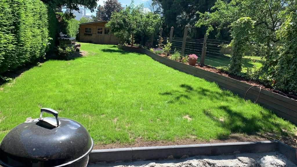 Pelouse neuve avec bordures droites dans un jardin clos