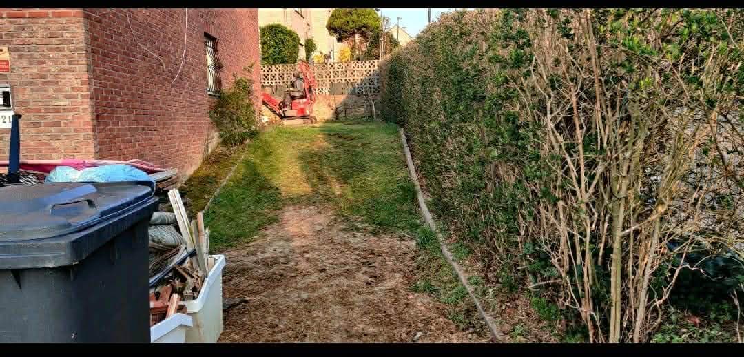 Avant travaux : jardin envahi par la végétation