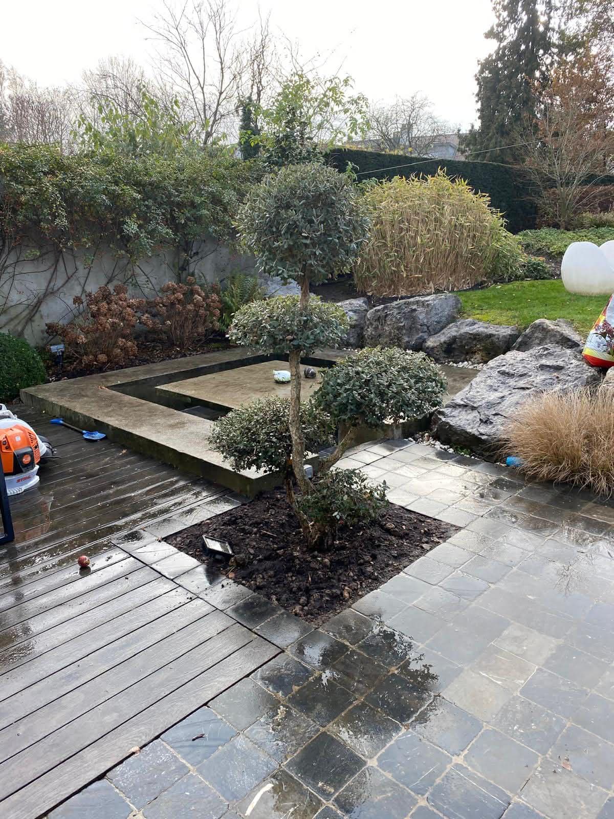 Terrasse en dalles et lames de bois, avec un arbre taillé en nuage au centre d'un massif